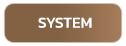 System